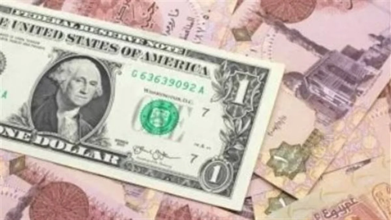 استقرار سعر الدولار في البنك المركزي والبنوك المصرية خلال تعاملات اليوم